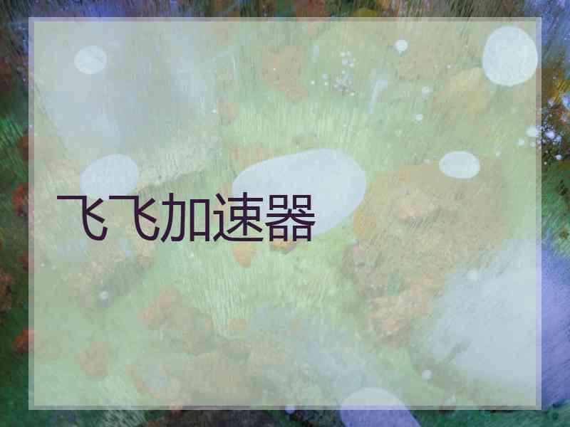 飞飞加速器